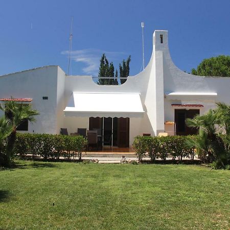Villa Rosa Marina Εξωτερικό φωτογραφία